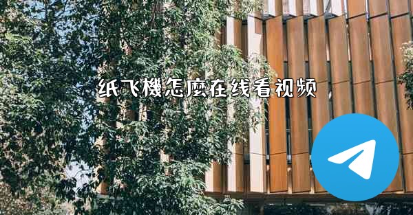 纸飞機怎麼在线看视频