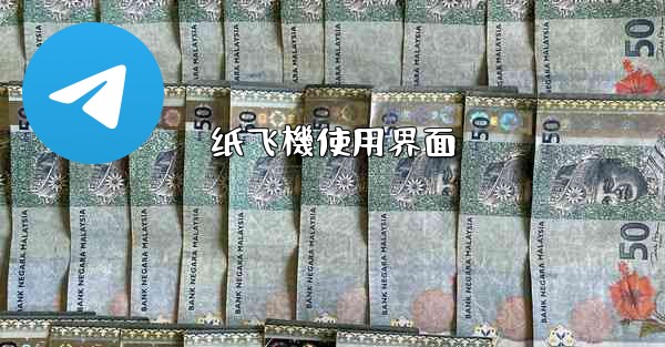 纸飞機使用界面