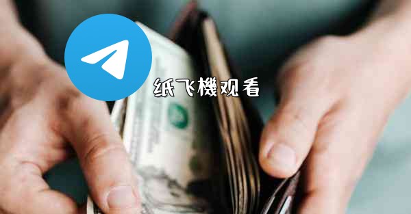 纸飞機观看