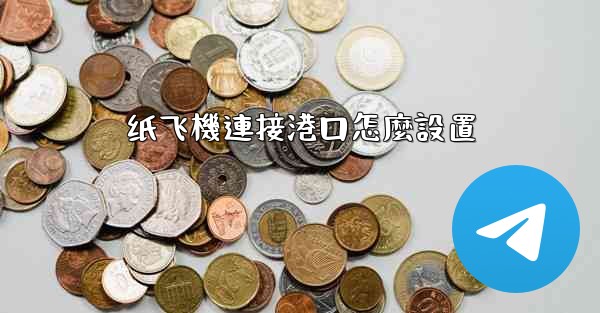 纸飞機連接港口怎麼設置