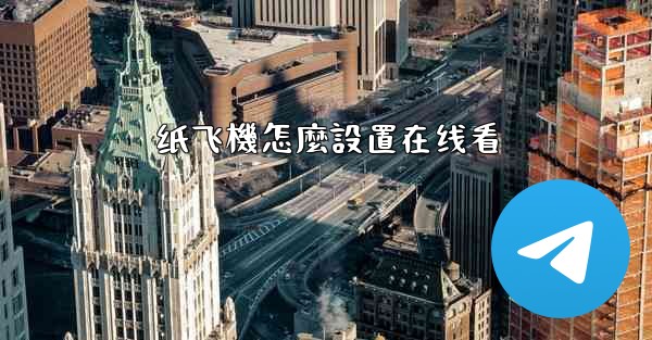 纸飞機怎麼設置在线看