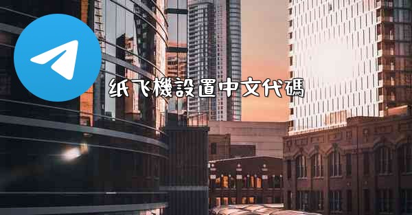 纸飞機設置中文代碼