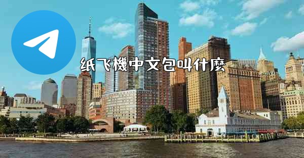 纸飞機中文包叫什麼