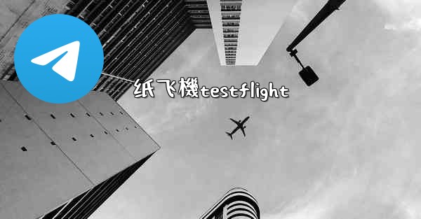 纸飞機testflight