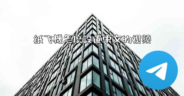 纸飞機怎麼設置中文的视频