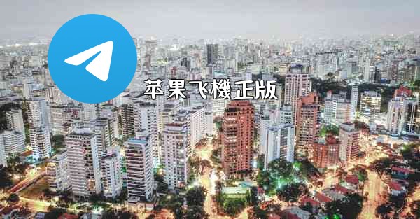 苹果飞機正版