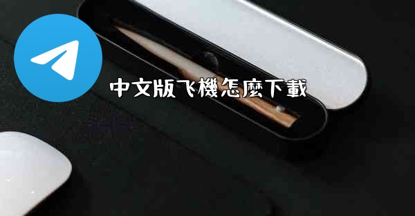 中文版飞機怎麼下載
