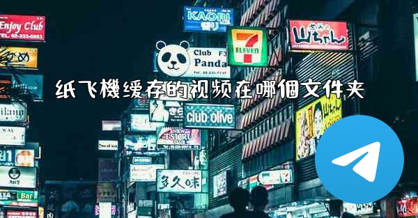 纸飞機缓存的视频在哪個文件夹