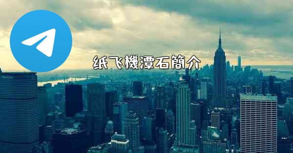 纸飞機潭石簡介