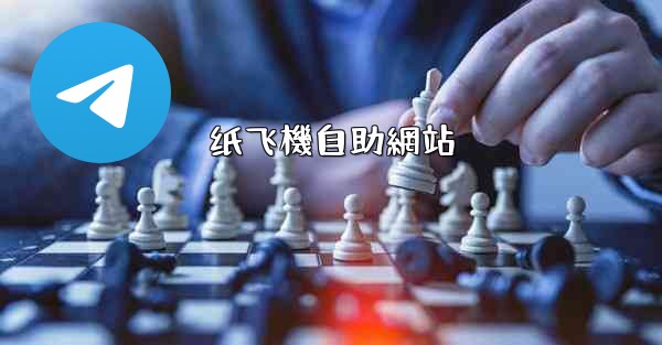 纸飞機自助網站