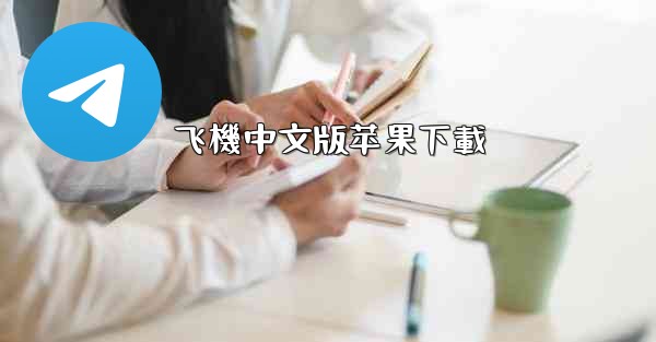 飞機中文版苹果下載