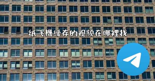 纸飞機缓存的视频在哪裡找