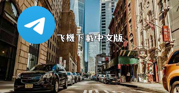 飞機下載中文版