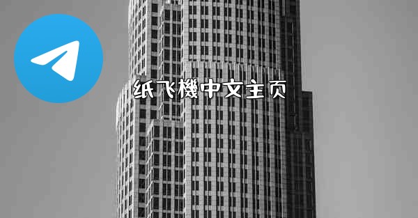 纸飞機中文主页