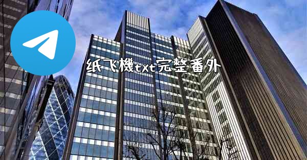 纸飞機txt完整番外