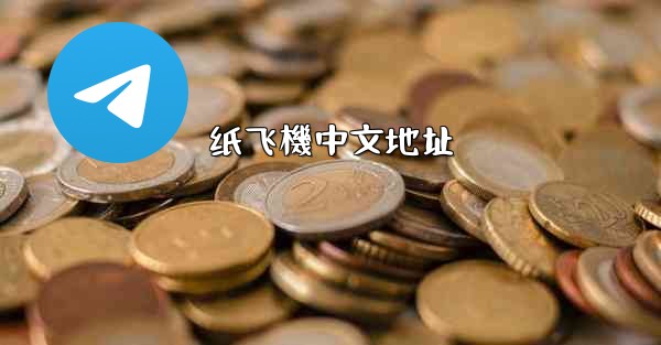 纸飞機中文地址