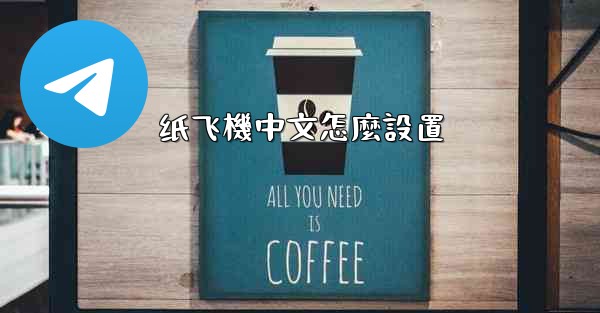 纸飞機中文怎麼設置