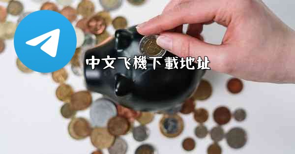 中文飞機下載地址