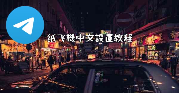 纸飞機中文設置教程