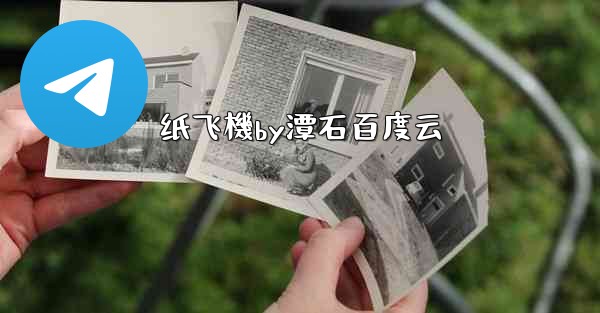 纸飞機by潭石百度云