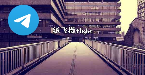 纸飞機flight