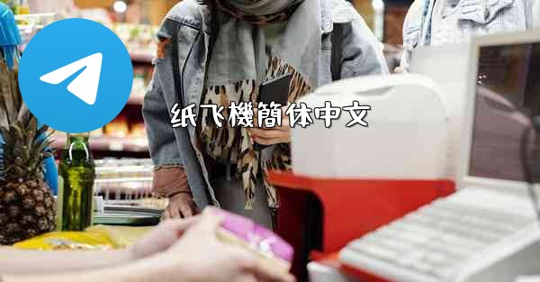 纸飞機簡体中文