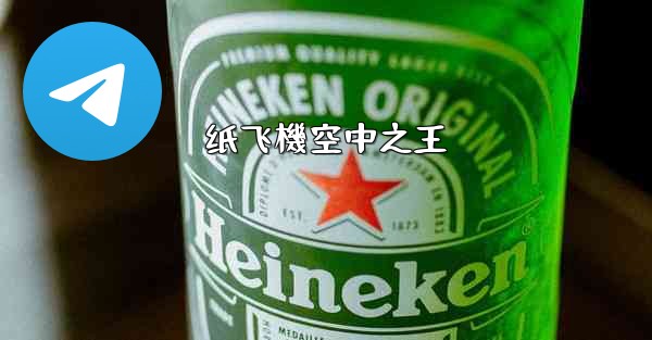 纸飞機空中之王