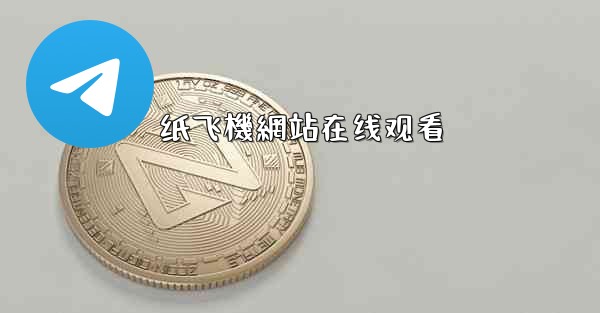 纸飞機網站在线观看