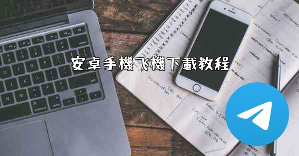 安卓手機飞機下載教程
