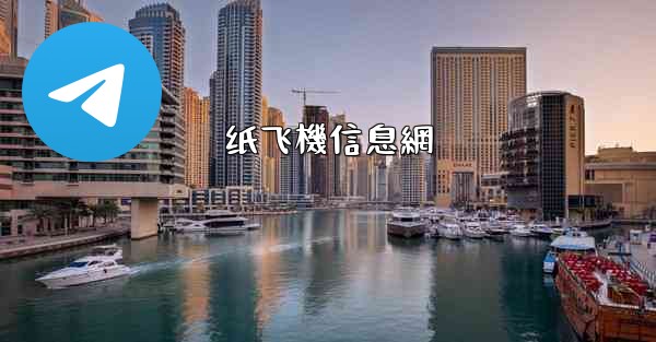纸飞機信息網