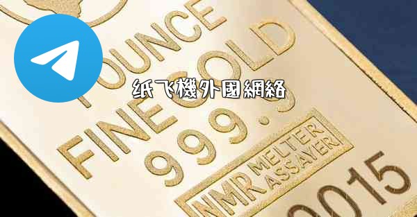 纸飞機外國網絡