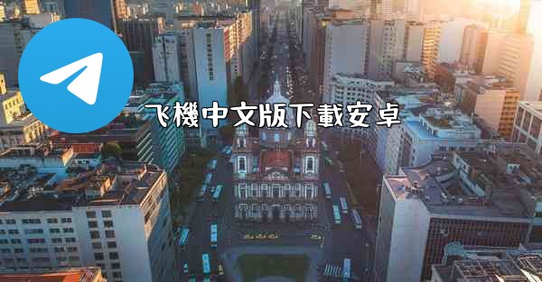 飞機中文版下載安卓