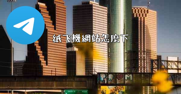纸飞機網站怎麼下