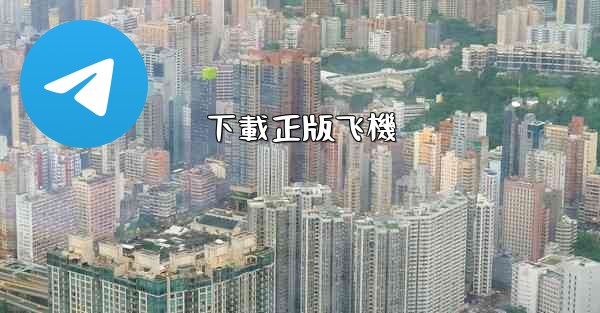 下載正版飞機