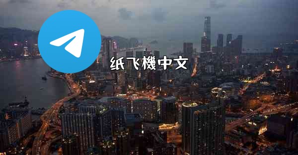 纸飞機中文