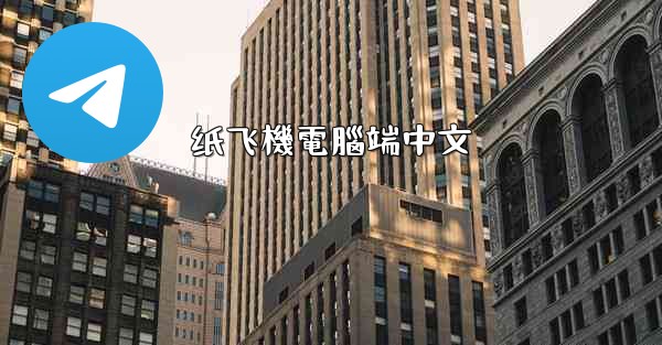 纸飞機電腦端中文