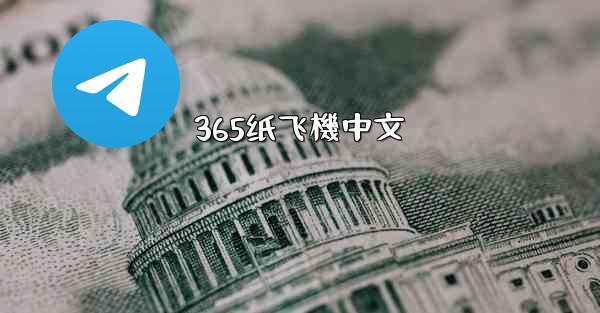 365纸飞機中文