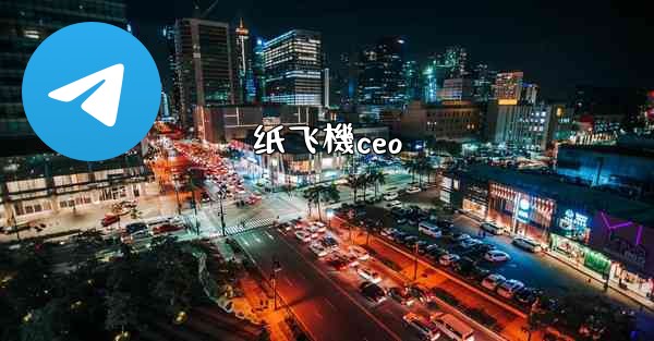 纸飞機ceo