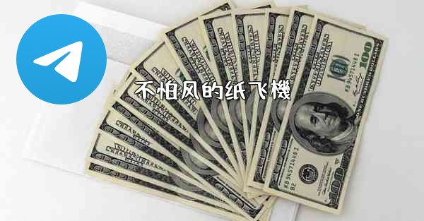 不怕风的纸飞機