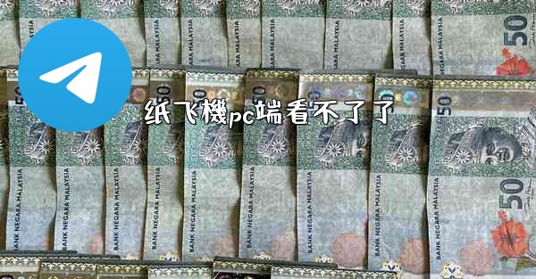 纸飞機pc端看不了了