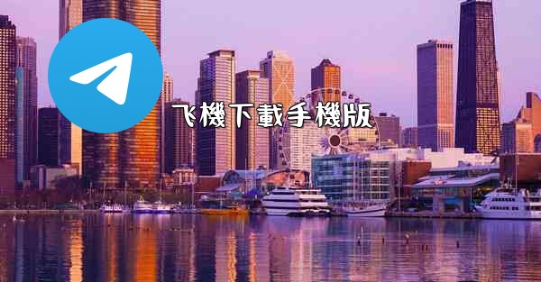 飞機下載手機版