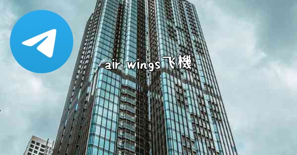 air wings飞機
