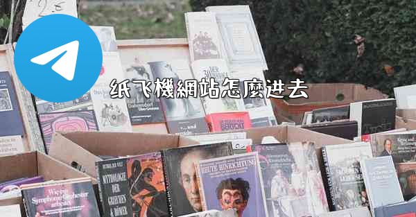 纸飞機網站怎麼进去