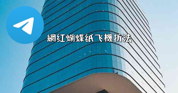 網红蝴蝶纸飞機折法