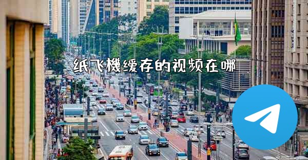 纸飞機缓存的视频在哪