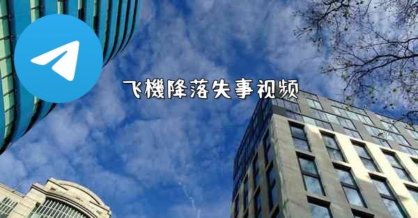 飞機降落失事视频