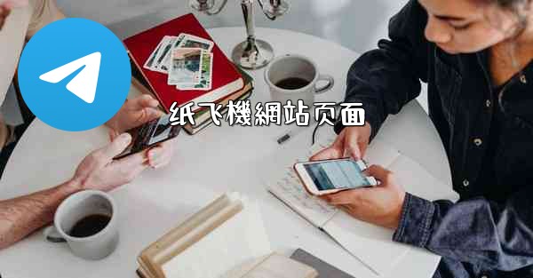 纸飞機網站页面