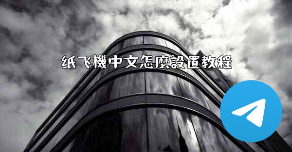 纸飞機中文怎麼設置教程