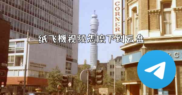 纸飞機视频怎麼下到云盘