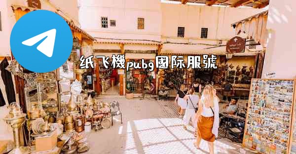 纸飞機pubg國际服號